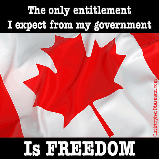 The-Only-Entitlement-I-Expect-From-My-Goverment-is-FREEDOM