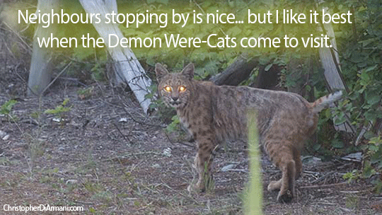 My-Demon-Were-Cats
