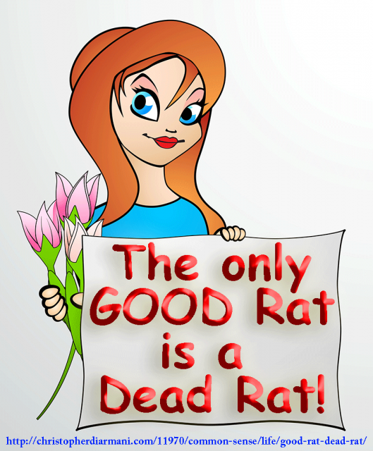 The-Only-Good-Rat-is-a-Dead-Rat-Poster