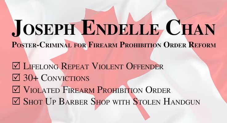 Joseph Endelle Chan - Poster-Criminal for Firearm Prohibition Order Reform