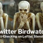 Twitter Birdwatch: Fact-Checking on Leftist Steroids?