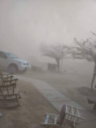 dust storm conditions the afternoon Agent Flores-Bañuelos was struck by a passing motorist