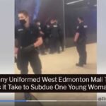 How Many Uniformed West Edmonton Mall Thugs does it Take to Subdue One Young Woman?